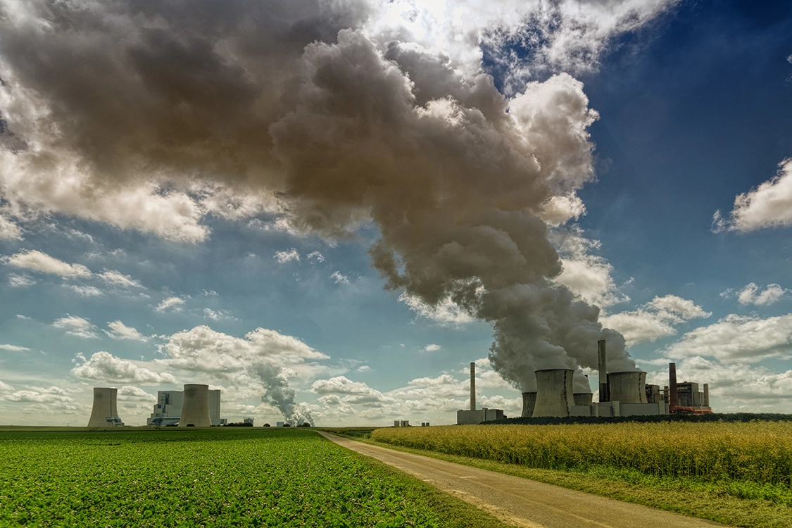 A Importância da Pegada Ecológica e Como Reduzi-la. Pegada Ecológica